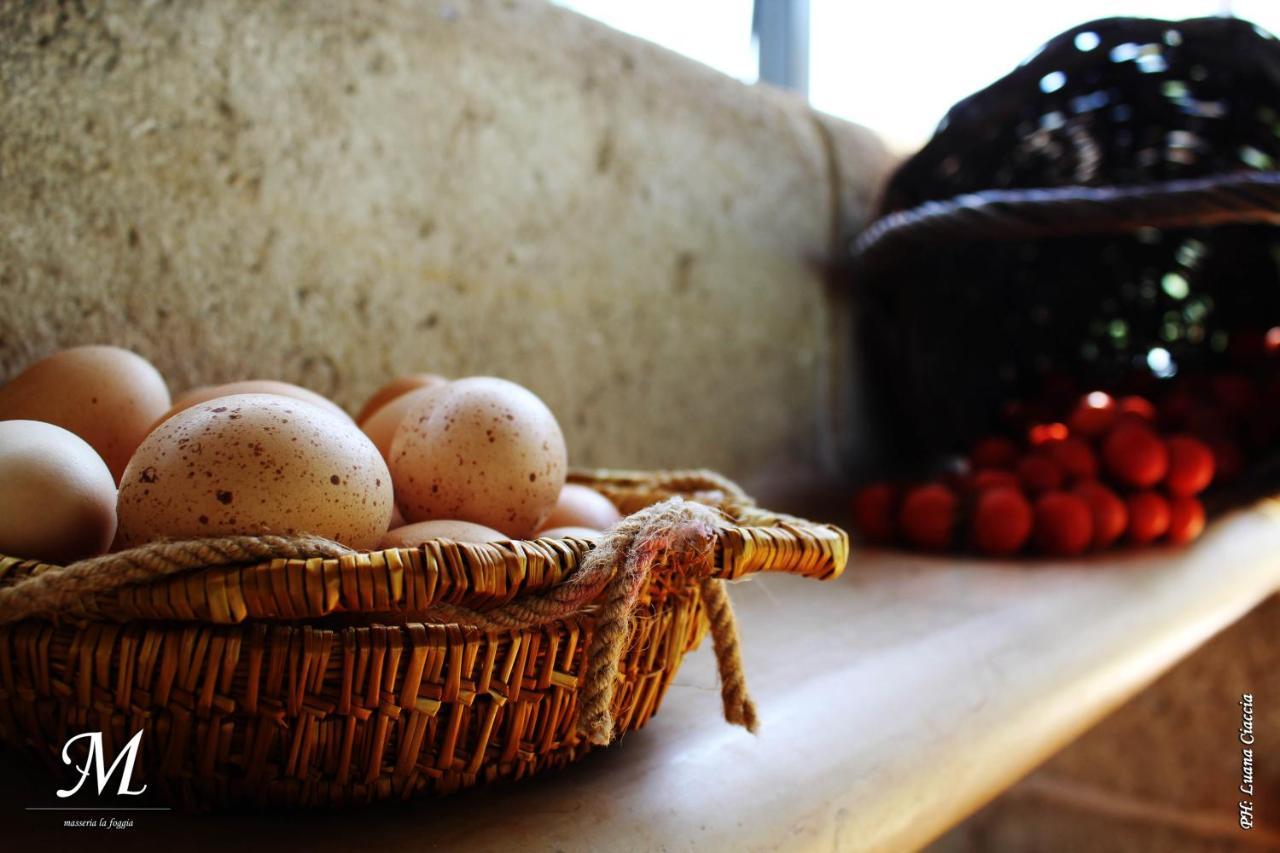 Masseria La Foggia Fasano Buitenkant foto