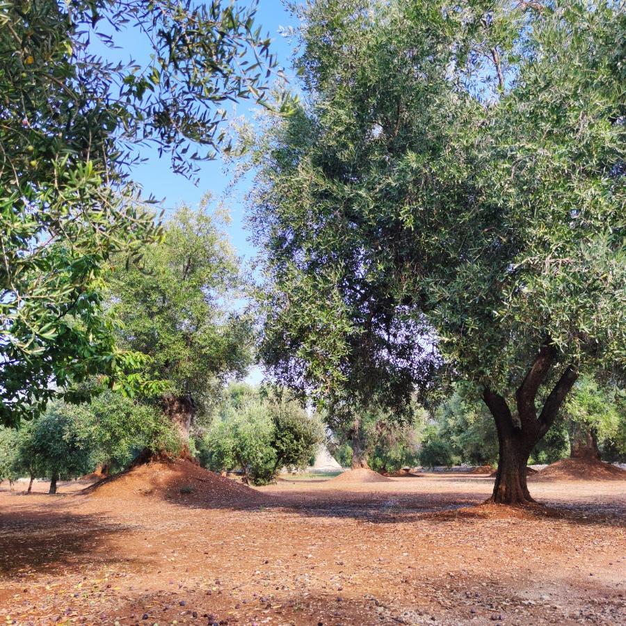 Masseria La Foggia Fasano Buitenkant foto